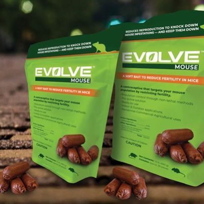 WhatsApp Image 2025-09-04 at 12.56.13 PM