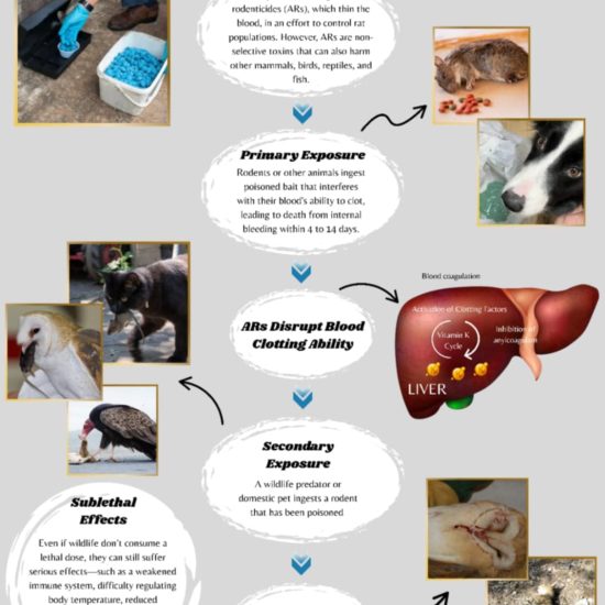 WhatsApp Image 2025-09-05 at 11.20.45 PM (1)